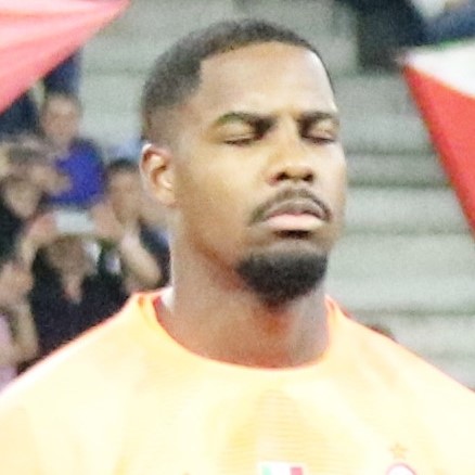 Mike Maignan - France Goalkeeper